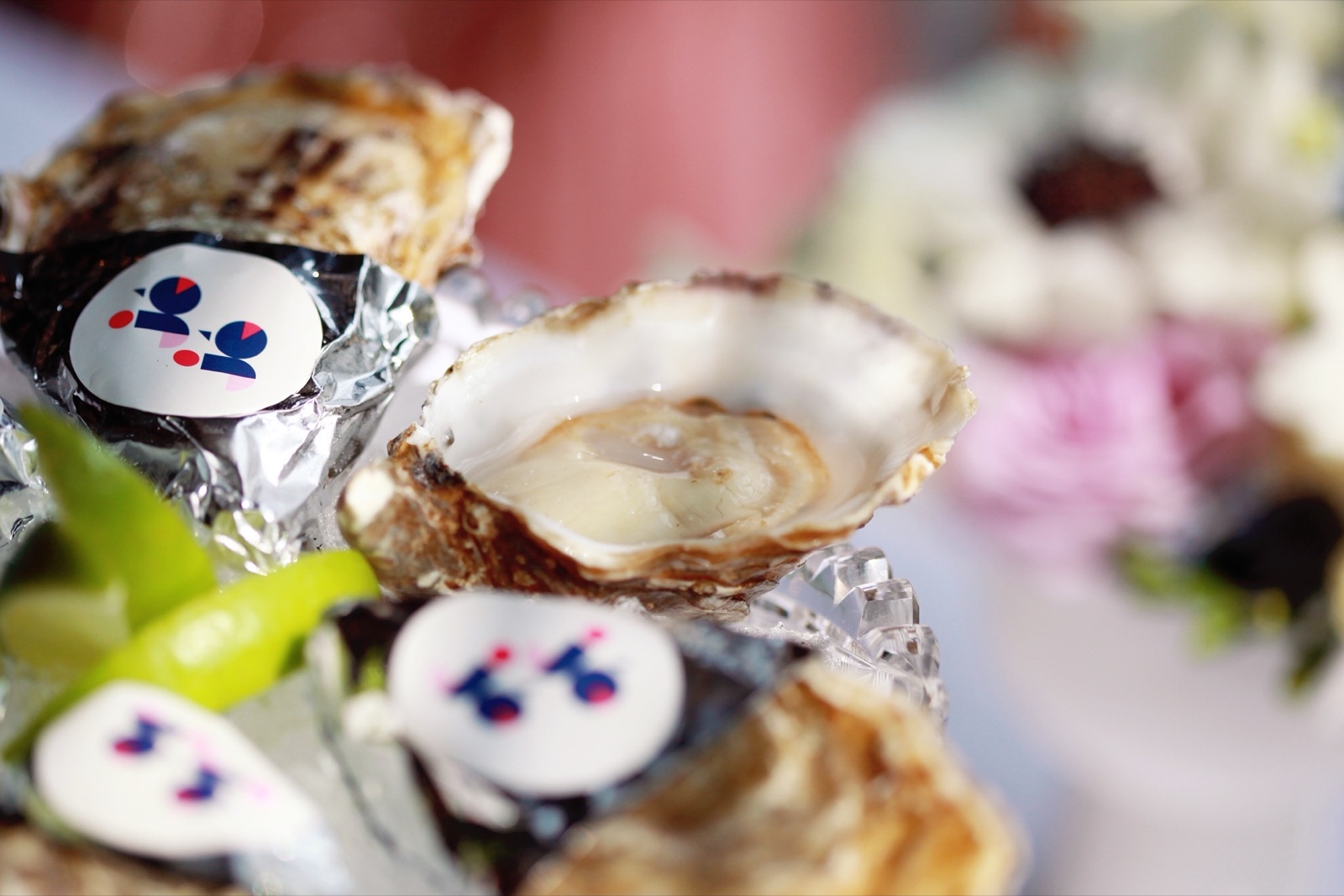 Fresh oysters with JéJé Chaya branded stickers on ice — the wonderland bar