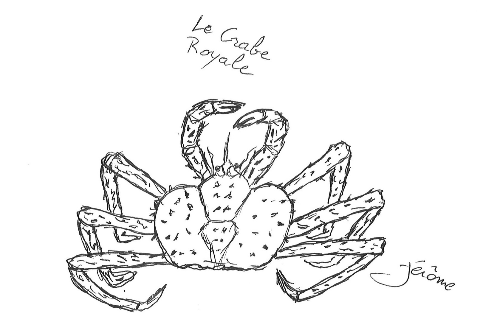 Le Crabe Royale — ink sketch by Jérôme Tauvron